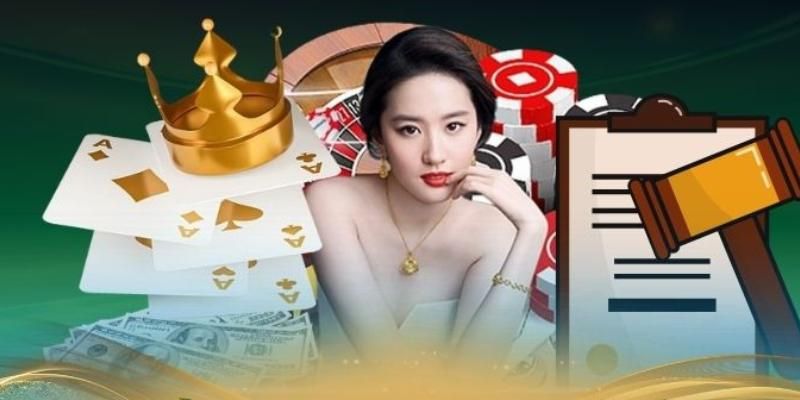 Nắm rõ các Điều khoản dịch vụ về tài khoản tại Hipclub